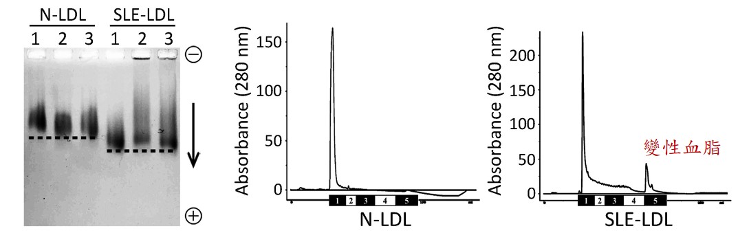 A210701 Fig1