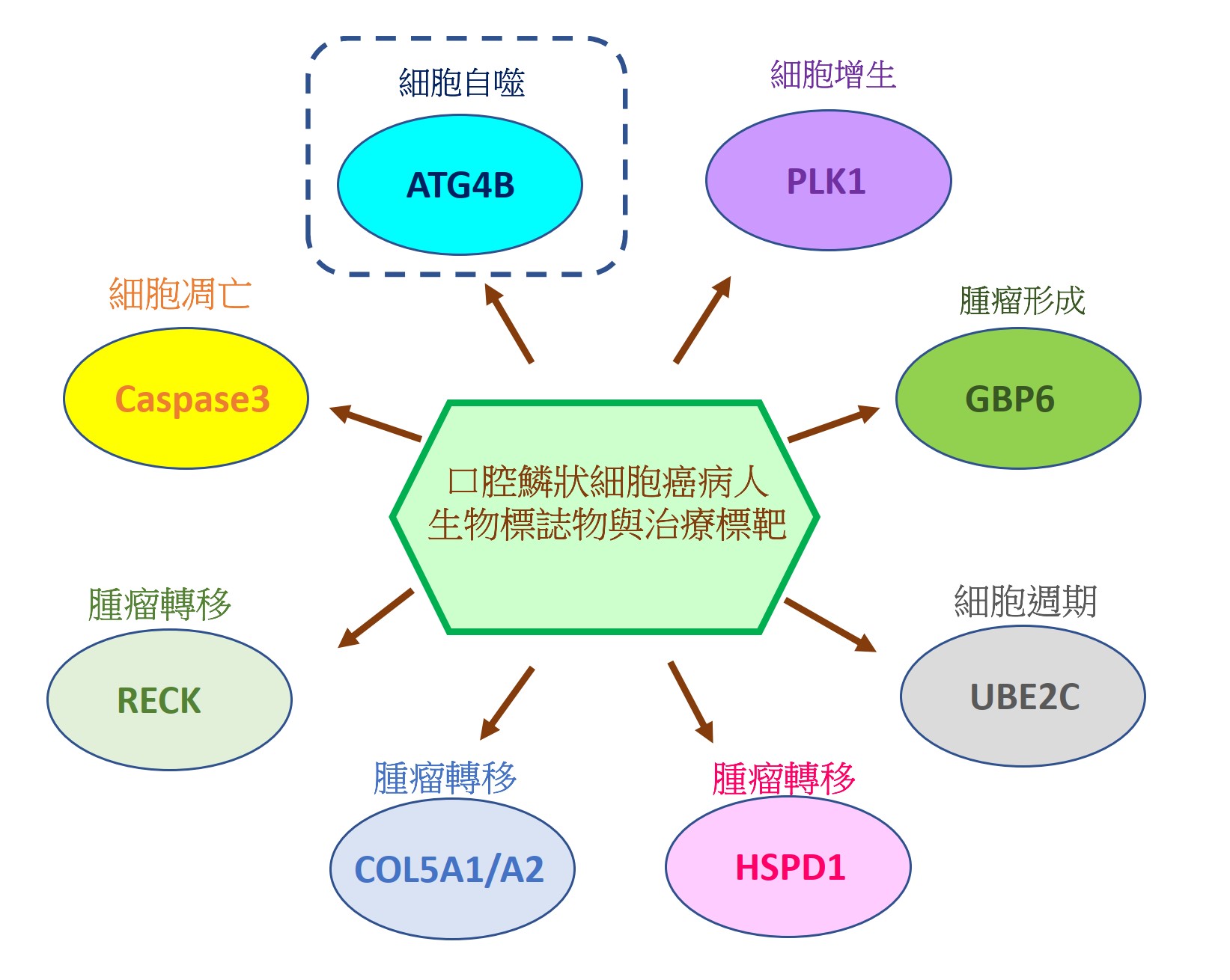 生科 02 劉佩芬 CH口腔鱗狀細胞癌治療的新契機01